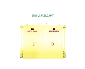 新疆降落式双扇立转门